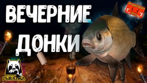 РР4/ рыбалка для души, ловим как универсал, общаемся 22.10.23