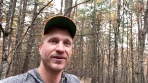 Мой метод подъёма на дерево для засидки на охоте с луком