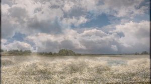 "ЛЮБОВЬ СВЯТАЯ"... (Фото Сергея Метелицы (Ярославль), музыка Георгия Свиридова)