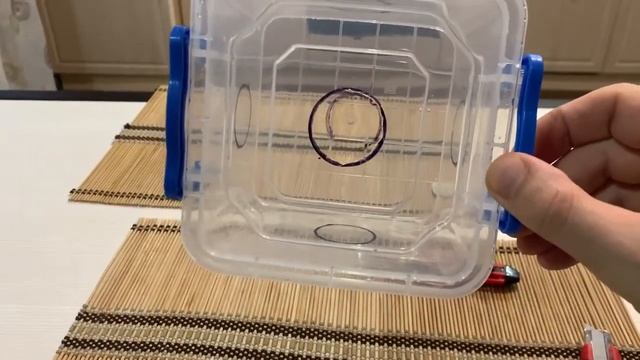 Самодельная игрушка для кота если ваш котик скучает и обдирает мебель. Лайфхак