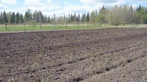 Обработка поля для посадки картошки