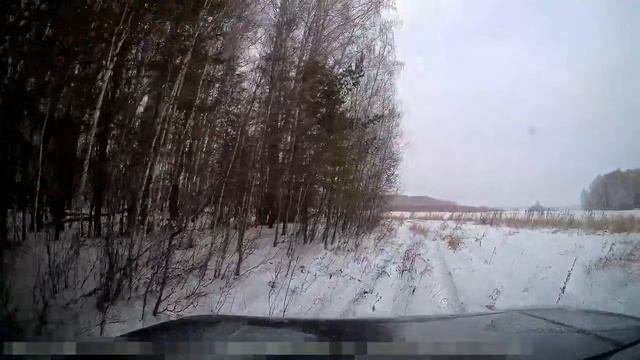 Новые правила охоты. Приравнивание к охоте.