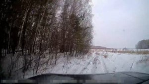 Новые правила охоты. Приравнивание к охоте.