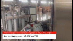 Производство (экстракция) масла и протеина из семян тыквы