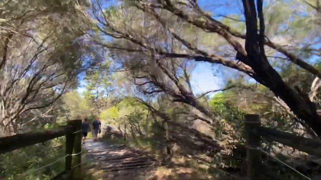 First family camping experience tuncarry смотреть онлайн