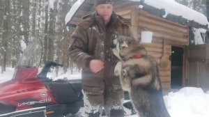ЗАВЕРШЕНИЕ ПУШНОГО ПРОМЫСЛА/СУКОННЫЙ КОСТЮМ/ПОЕЗДКА НА ИСПЫТАНИЯ!!!