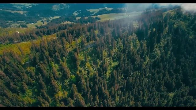 Релакс музыка для расслабления, медитации, учебы, чтения, массажа, спа или сна. смотреть онлайн