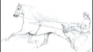 Орловские рысаки Константина Келеш