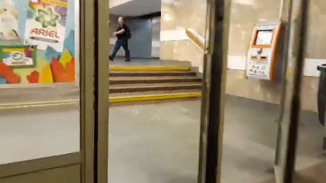 Новорожденные хомяки🐹в больницу к мужу😥покупки вредностей😜 смотреть онлайн