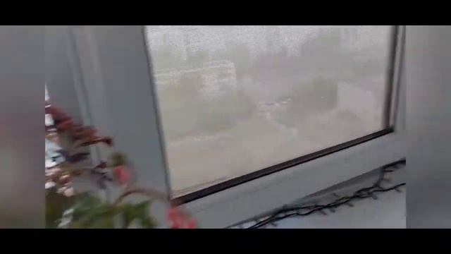 Наши цветочки На балконе у Дочки!! смотреть онлайн