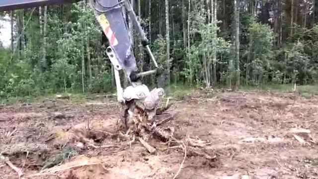 корчеватель деревьев