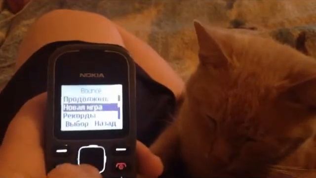 Ностальгия NOKIA смотреть онлайн