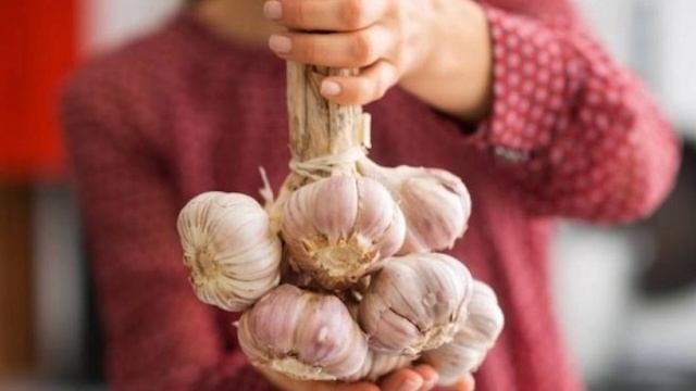 Зачем спать с чесноком под подушкой! Свойства чеснока о которых вы даже не догадывались