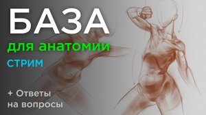 База для анатомии. С чего начать изучение анатомии? Какие навыки потребуются?