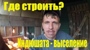 Где строить дровник? // Индюшата по этапу // Жизнь в деревне