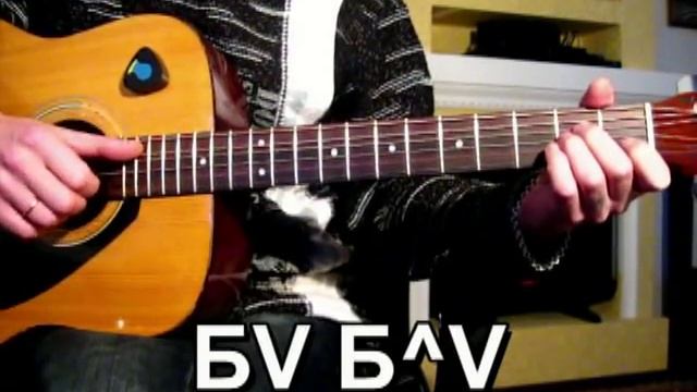 Бутырка - Шарик Тональность смотреть онлайн