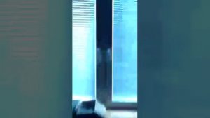 Продается дом Рязанская Область, Спасский район, село Ижевское,дом 76м на участке 20 соток,