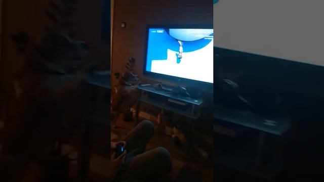 Реакция собаки моего друга нас симулятора на козла смотреть онлайн