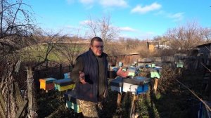 Пластины от клеща Зимой. Пчеловодство. Клещ варроа. Конкурс видео №6