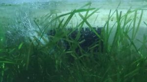 Barbus PUMP 007 - Когда не рассчитал мощность...