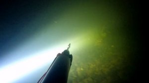 Ночная подводная охота.