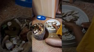 Как сушить грибы в электросушилке
