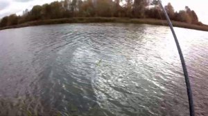 Джиг спиннинг для начинающих.Джиг на озере.