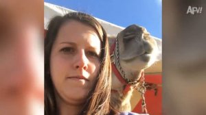 Приколы с девочками.