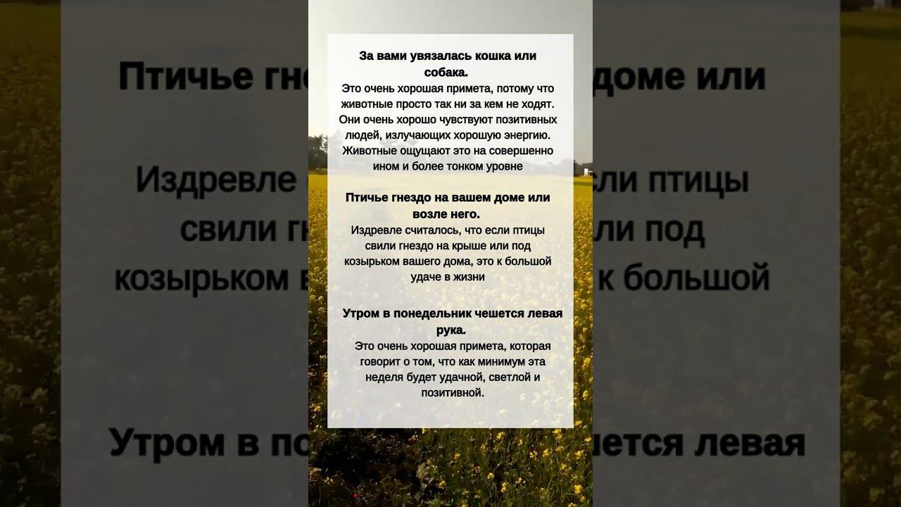 Счастливые ПРИМЕТЫ - Все будет ХОРОШО #shorts смотреть онлайн