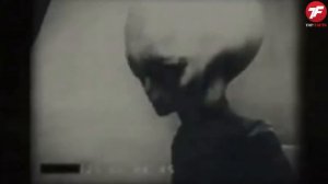 ЗОНА 51 - Что там происходит?