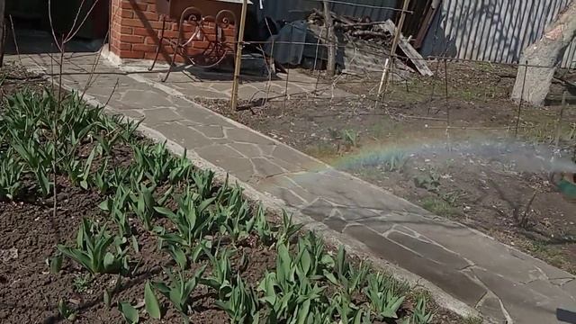 ОПРЫСКИВАТЕЛЬ  и ВОЗДУХОДУВКА! Хорошее дополнение для сада. Пробуем, что, как и зачем?,