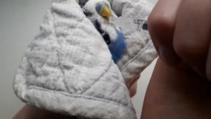 2 способа как дать попугаю лекарство
