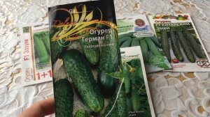 Лучшие сорта огурцов для выращивания в теплице!!!