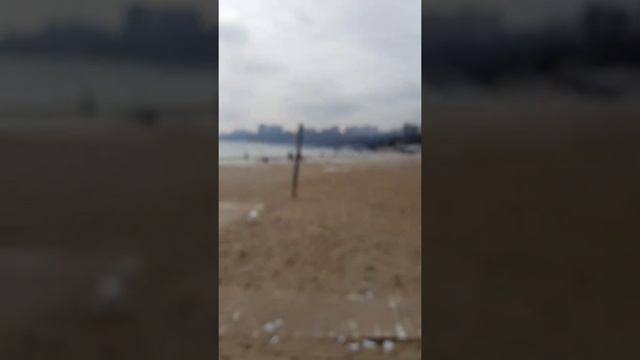 ШИКАРНАЯ МОЗАИКА ВОРОТА РИСУНКИ НА СТЕНАХ ЗАБОРАХ В ОДЕССЕ городской арт URBAN ART #shots