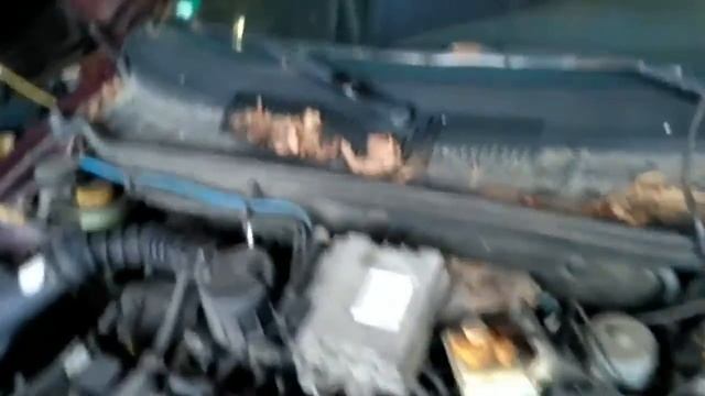 fiat palio бу запчасти