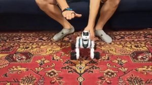 Инструкция по управлению интерактивная игрушка Собака на радиоуправлении 666-800A Управление жестам