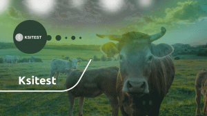 Ksitest — IT-сервис геномной селекции животных «под ключ»