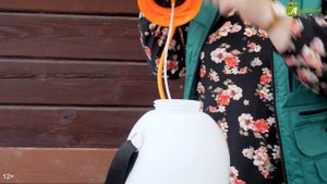 Как избавиться от тли. 8 ЛУЧШИХ СПОСОБОВ
