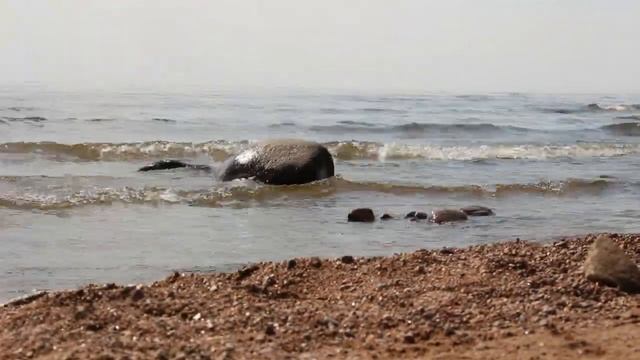 Медитация берег Балтийского моря, Финский залив, пляж Комарово смотреть онлайн