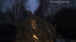 Вечерняя поездка на дрезине на УЖД Мещерского ТП