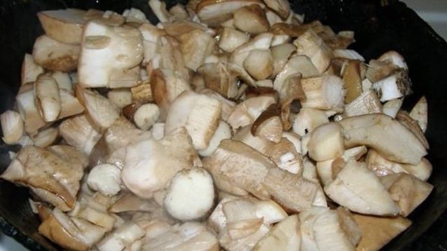 Подберезовики, жареные с картофелем