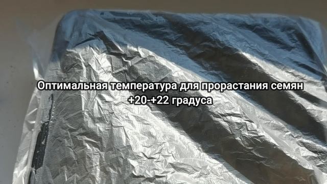 Посев астры без заморочек и без пикировки! Лучший способ посева семян астры на рассаду.