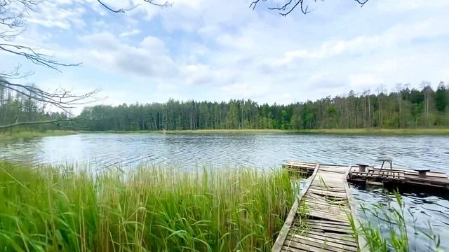 Dom do remontu na Mazurach смотреть онлайн