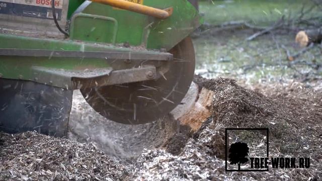 Удаление пней: дробление пней в щепу без корчевки пнедробилкой Laski 460 www.Tree-Work.ru