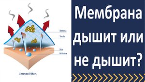 Кровельная мембрана дышит или не дышит