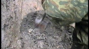 Истребитель