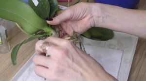 ТАКОЕ ВИДЕО ДОЛЖНО БЫТЬ НА КАНАЛЕ! НАГЛЯДНОЕ ПОСОБИЕ...ОЙ,ОЙ,ОЙ. СПАСУ, не СПАСУ?! Я делаю ТАК...