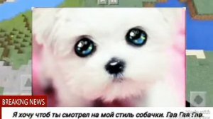 Клип "Мой стиль собачки"!!!