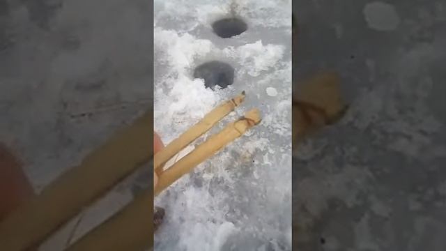 Рыбаки ловили рыбу, а поймали раком ? смотреть онлайн