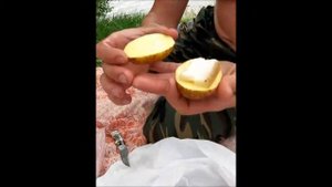 Картошка с Салом / Запеченная в Фольге / На углях